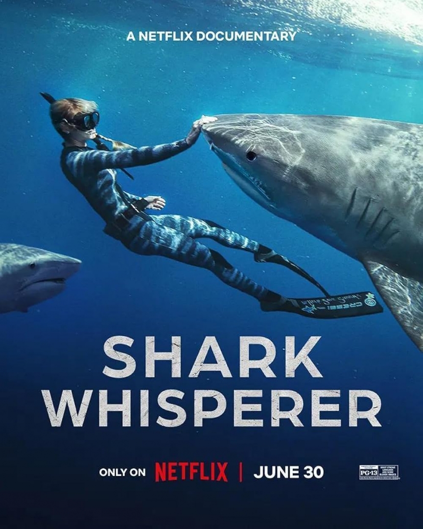 Shark Whisperer (2025) WEBRip x264 720p<br>Seeders: 1 / 
				Leechers: 0 / 
				Μέγεθος: 829.78 MB /  
				Ολοκληρώθηκε: 1<br>Κατηγορία: Ταινίες > Ντοκιμαντέρ<br>Ανέβηκε Χθες στις 16:26<br>