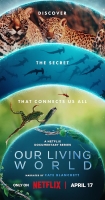 Our Living World S01 (1080p) (2024)<br>Seeders: 1 / 
				Leechers: 0 / 
				Μέγεθος: 12.24 GB /  
				Ολοκληρώθηκε: 1<br>Κατηγορία: Ταινίες > Ντοκιμαντέρ<br>Ανέβηκε Σήμερα στις 08:46<br><img src='https://zourla.com/styles/default/torrents/sticky.png' alt='' title='Sticky Torrent' class='middle' id='' rel='resized_by_tsue' />
