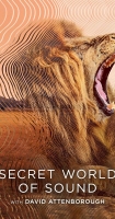 Secret World of Sound with David Attenborough S01 (1080p) (2024)<br>Seeders: 1 / 
				Leechers: 0 / 
				Μέγεθος: 5.22 GB /  
				Ολοκληρώθηκε: 1<br>Κατηγορία: Ταινίες > Ντοκιμαντέρ<br>Ανέβηκε Χθες στις 13:37<br><img src='https://zourla.com/styles/default/torrents/sticky.png' alt='' title='Sticky Torrent' class='middle' id='' rel='resized_by_tsue' />