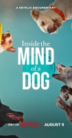 Inside The Mind Of A Dog (ΣΤΟ ΜΥΑΛΟ ΕΝΟΣ ΣΚΥΛΟΥ) (2024) WEBRip 1080p<br>Seeders: 1 / 
				Leechers: 0 / 
				Μέγεθος: 1.39 GB /  
				Ολοκληρώθηκε: 1<br>Κατηγορία: Ταινίες > Ντοκιμαντέρ<br>Ανέβηκε Χθες στις 13:49<br><img src='https://zourla.com/styles/default/torrents/sticky.png' alt='' title='Sticky Torrent' class='middle' id='' rel='resized_by_tsue' />